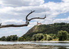 Donau mit Bogenberg. 