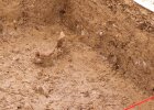 Altsteinzeitliche Funde: Grabungsdetail mit herausragendem Höhlenbärzahn