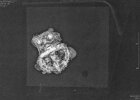 Im Röntgen sichtbar: Gürtelschnalle aus Neufahrn 